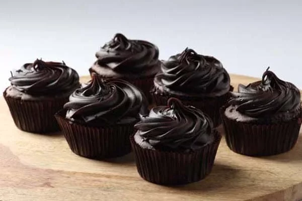 double-chocolate-cupcakes